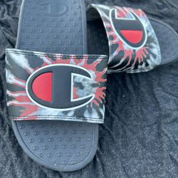 Champion Slides