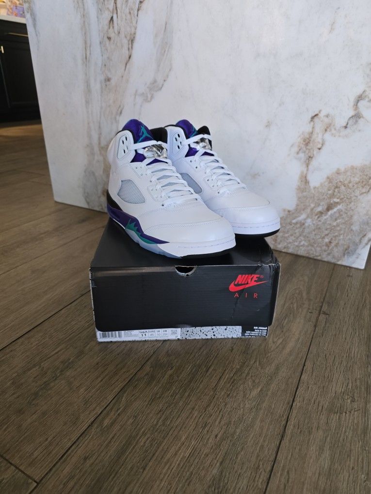 Jordan 5 Grape Size 11