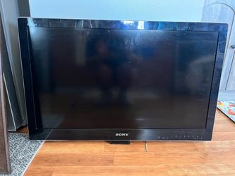 Sony Tv & Framed Deer Print