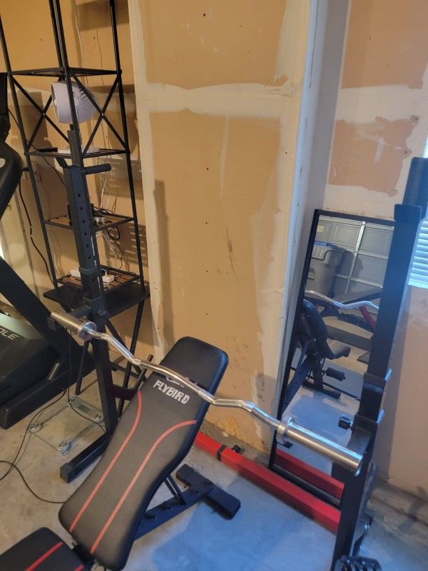 Squat Rack + Olympic Curl Bar