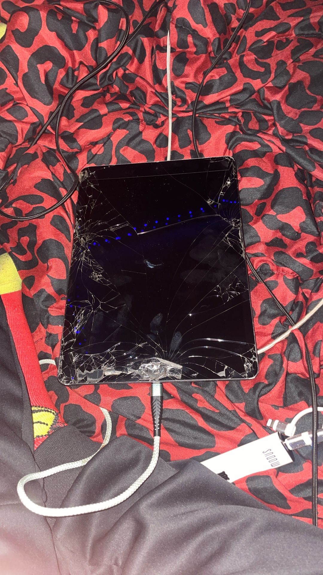 iPad