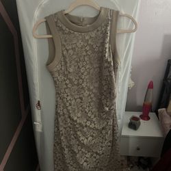 Large And Medium Dresses