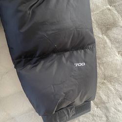 700 Northface Nuptse