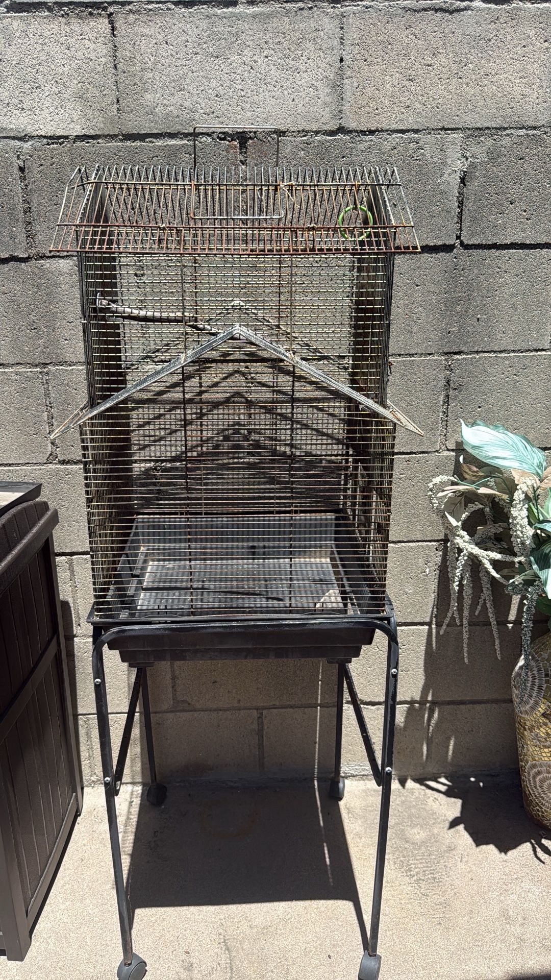 Bird Cage