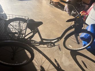 Tricycle bike