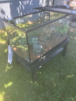 Reptile habitat