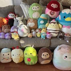Squishmallow Lot