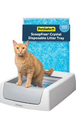 Automatic litter box
