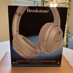 Brookstone Headphones 