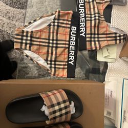NEW Burberry Swimsuit And Slides