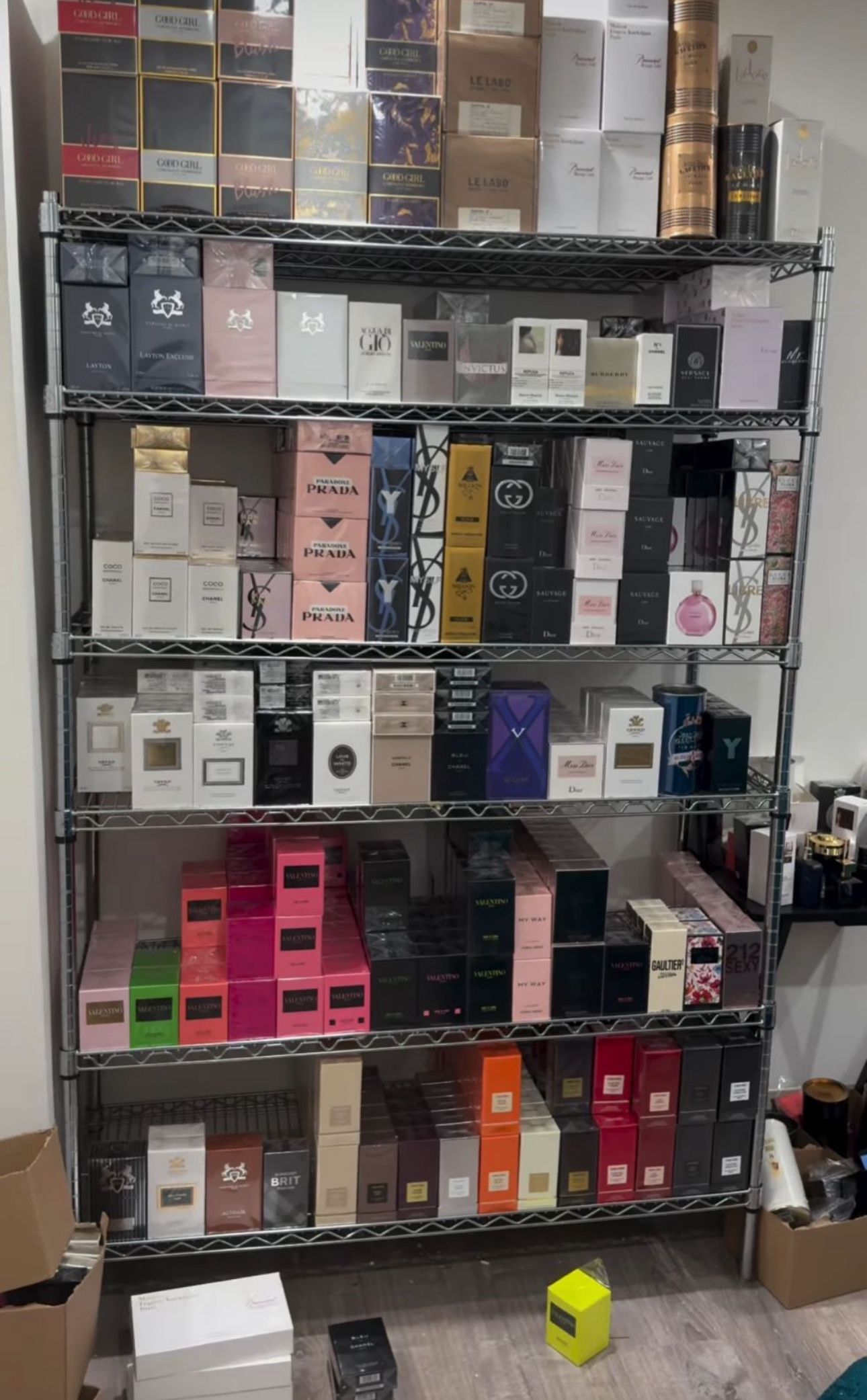 Perfume All Brands New