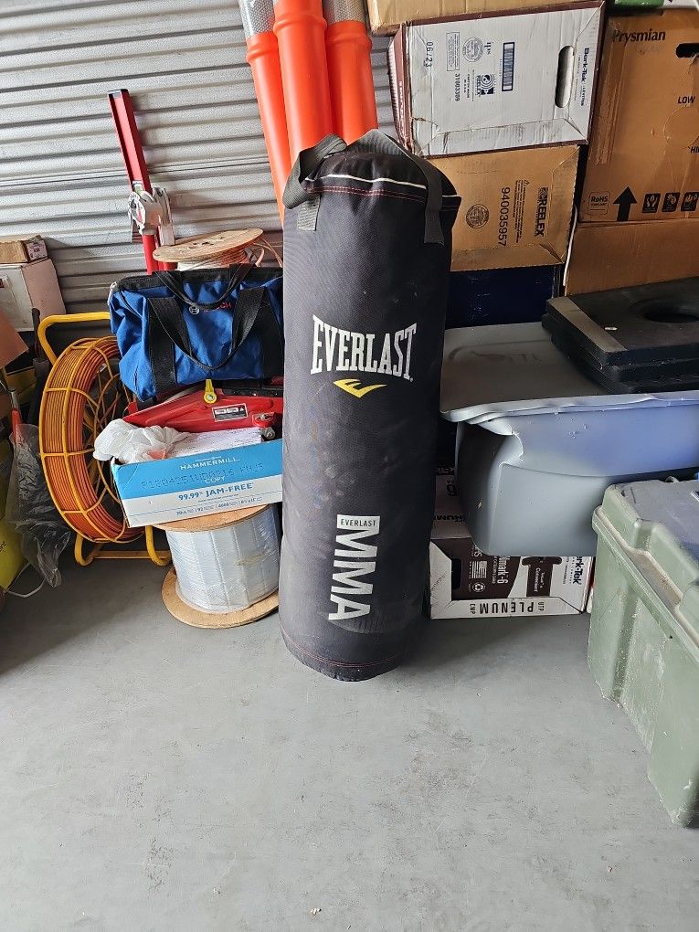 Everlast Punking Bag