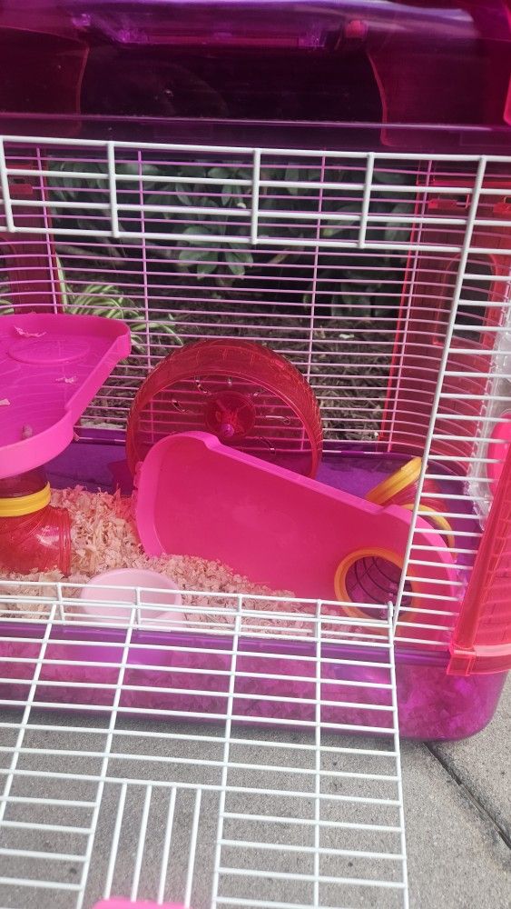 HAMSTER CAGE