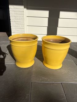 Crate and Barrel planters