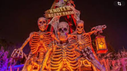 Knotts Scary Farm