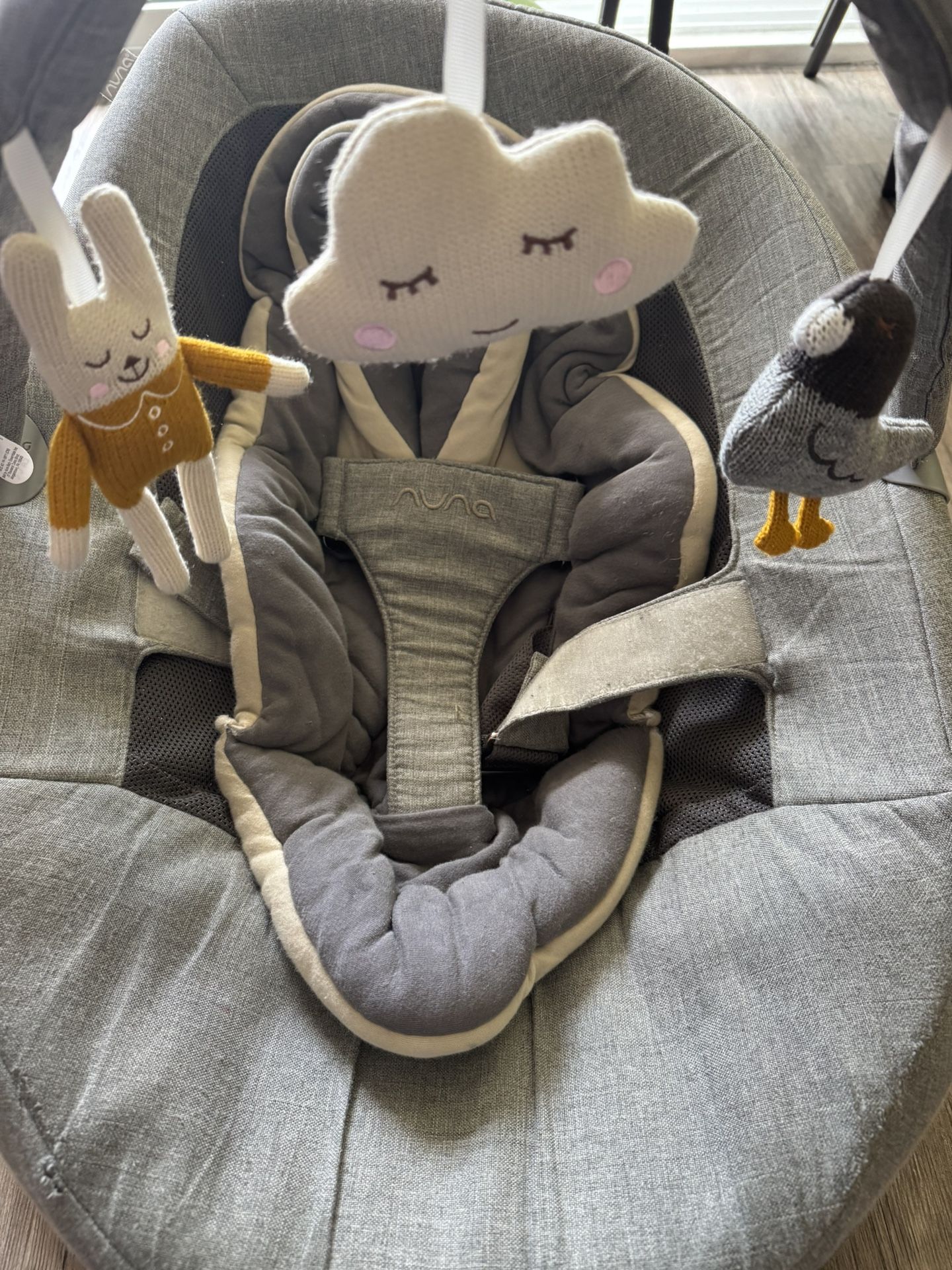 Nuna Leaf Grow Swing