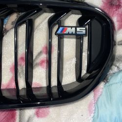 Bmw 5 series grill