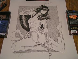 Artist Steve Woron signed Lady Ninja with verified email from Steve Woron