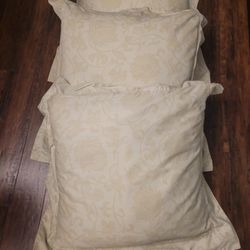 Large Throw Pillows