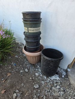 10 gallon & 15 gallon pots $.50 each