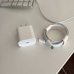 New iPhone Fast Charger 