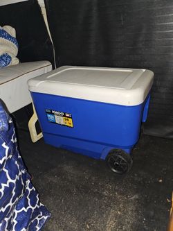 Igloo