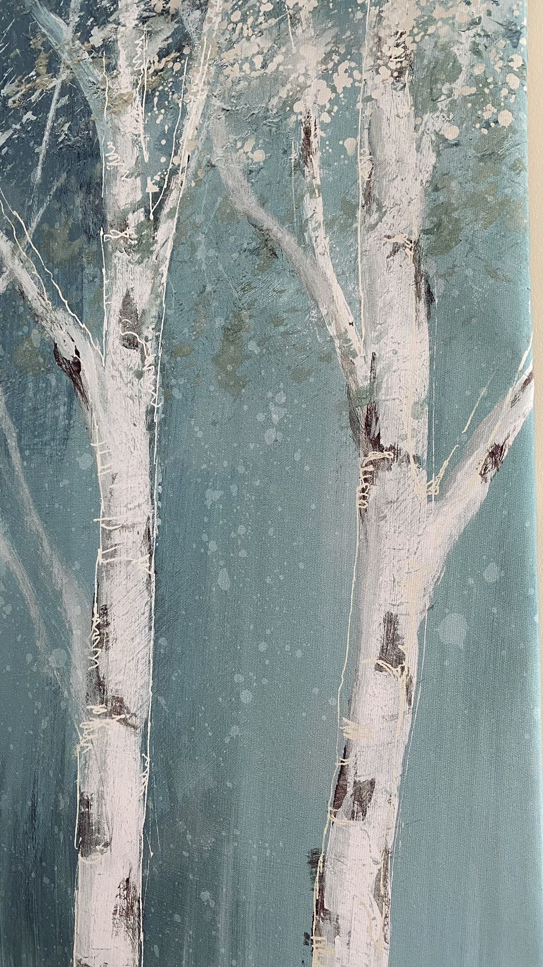 Birch Tree Forest Canvas Print Wall Art, 48x24x1.75