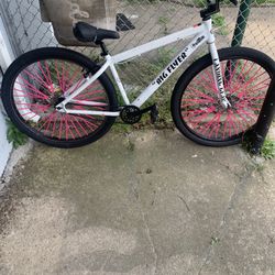 2021 se big flyer 
