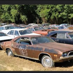 Wanted:  Project Car