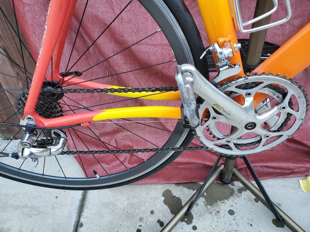 quintana roo kilo size chart