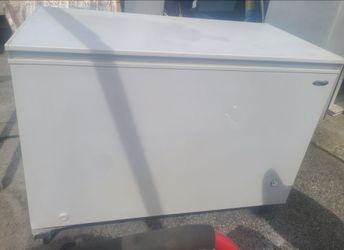 Premium 10.6 cubic feet deep freezer