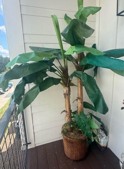 Faux Large Potted Banana Tree Plant
