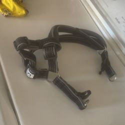 Dog Harness 