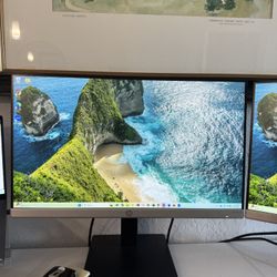 (2) HP MONITORS 24 MH (24in, 1080p, speakers)