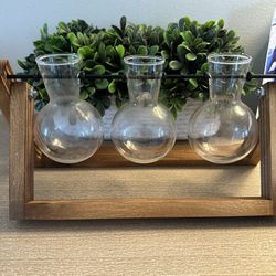 Hanging Small Case/plant Holder
