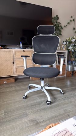 Ergonomic Office Chair bought for $150
