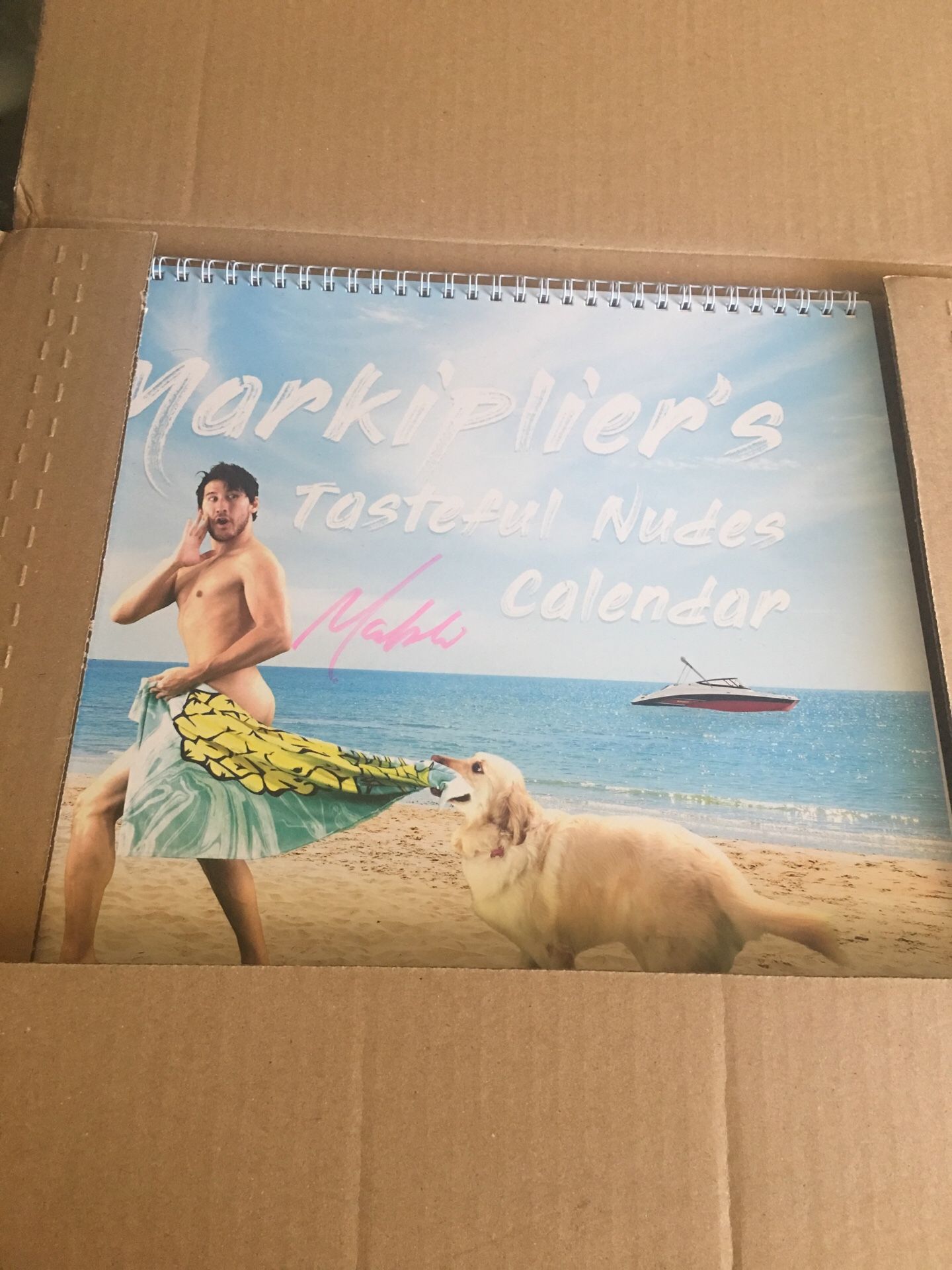 Markiplier Tasteful Nudes Calendar!