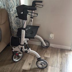 Foldable Mobility Devices 