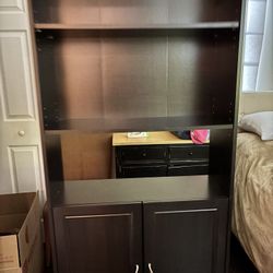 Tall Storage Cabinet / Bookshelf with Doors 
