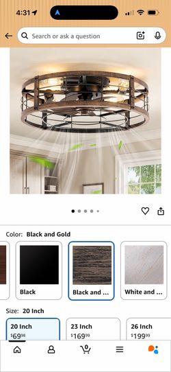 20" Caged Ceiling Fan with Light and Remote
