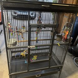 Bird Cage 