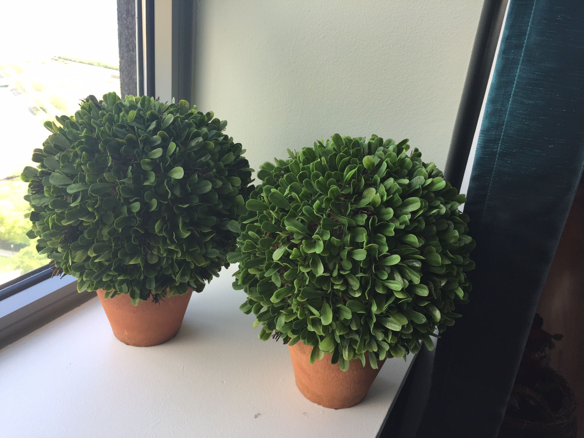 Faux Box hedge Potted Plants