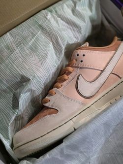 Nike Sb Dunk Trocadero Gardens