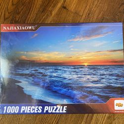 1000 Piece Puzzle 