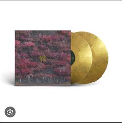 Hot Topic Exclusive Sleep Token Even In Arcadia Album Vinyl