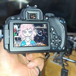 Canon 700D, kit, shooting results, functions Normal
