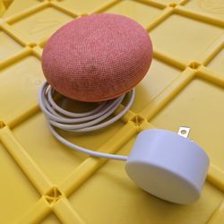 Google Home Dot