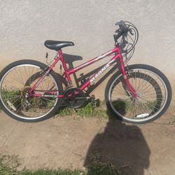 Magna Bike