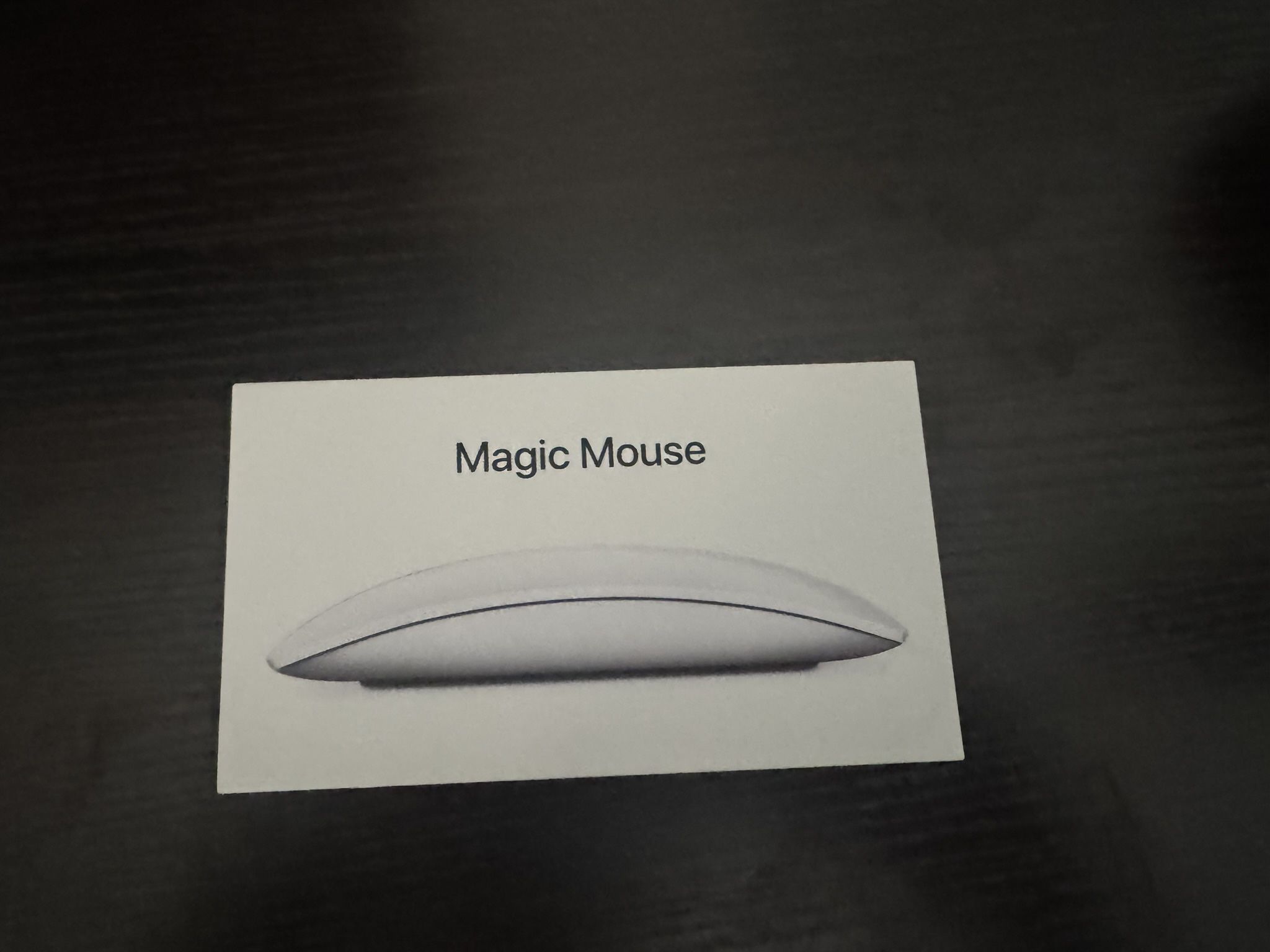 Apple Magic Mouse - Lightning