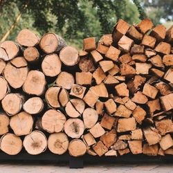 Selling Firewood 